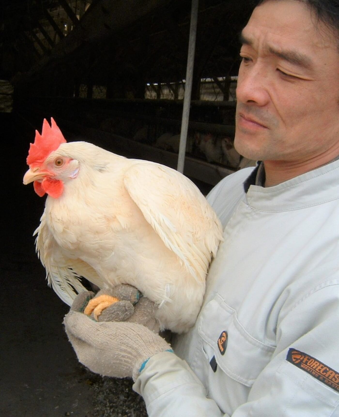 メインビジュアル